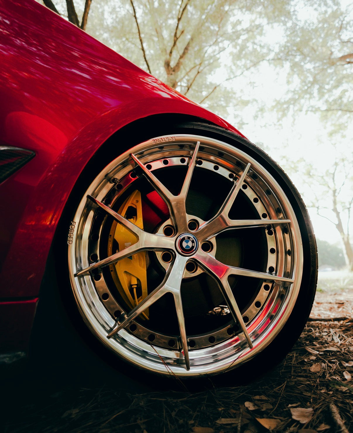 F11-EVO