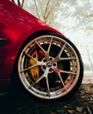 F11-EVO