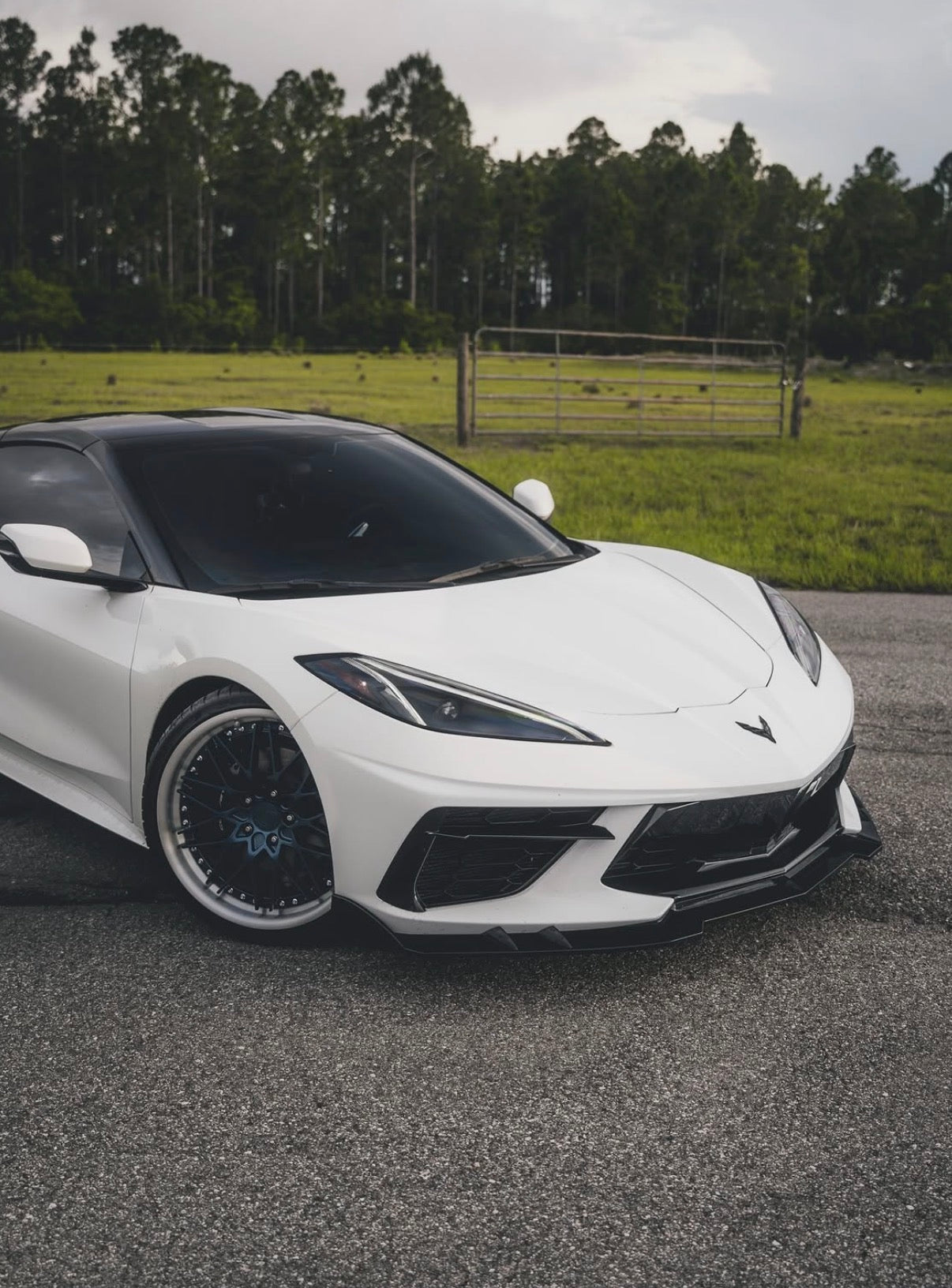 c8 corvette stingray
